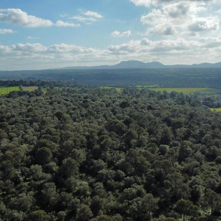 Magnifica Villa Tranquila En El Centro De Mallorca Biniali  Luaran gambar