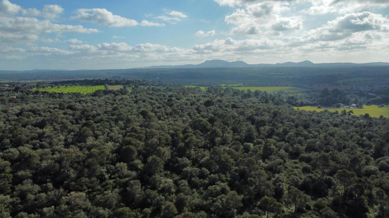 Magnifica Villa Tranquila En El Centro De Mallorca Biniali  Luaran gambar